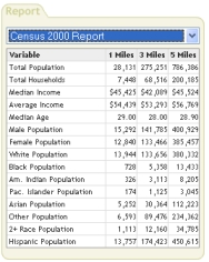Google Census Report